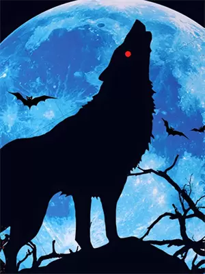 天道编辑器小说最新章节