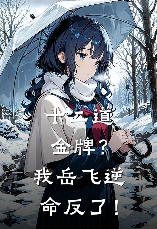 十二道金牌？我岳飞逆命反了！