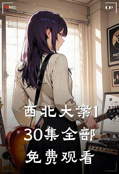 西北大案1-30集全部免费观看